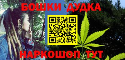 гидра Гагарин