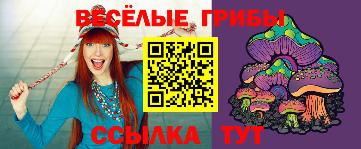 Галлюциногенные грибы Magic Shrooms  где продают   Можга  Вход с VPN 